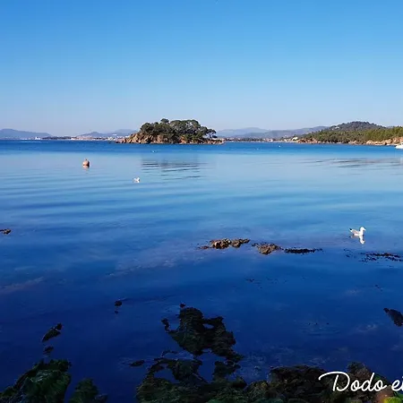 Quiet Cute 1 Bedroom With Terrace - Dodo Et Tartine Appartement La Londe-les-Maures